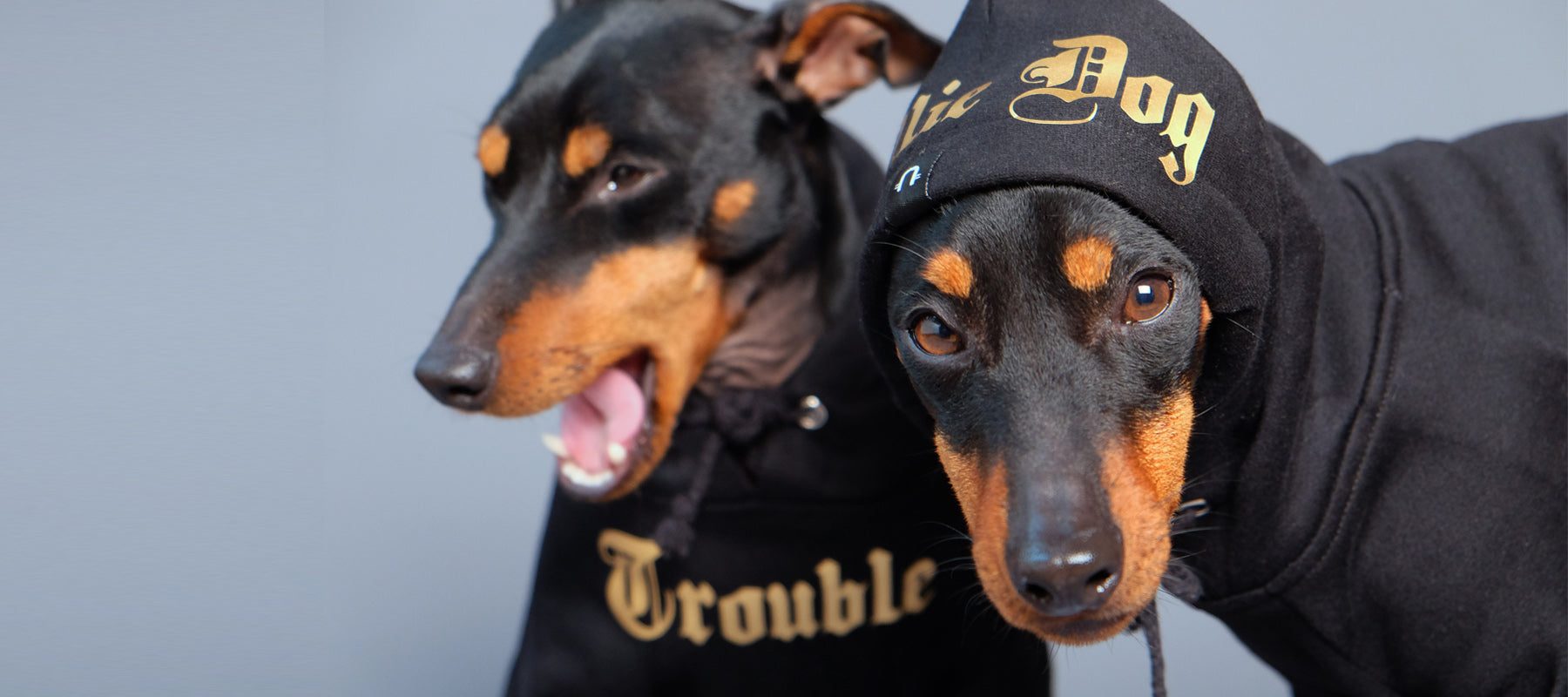 Personalised dog hoodies