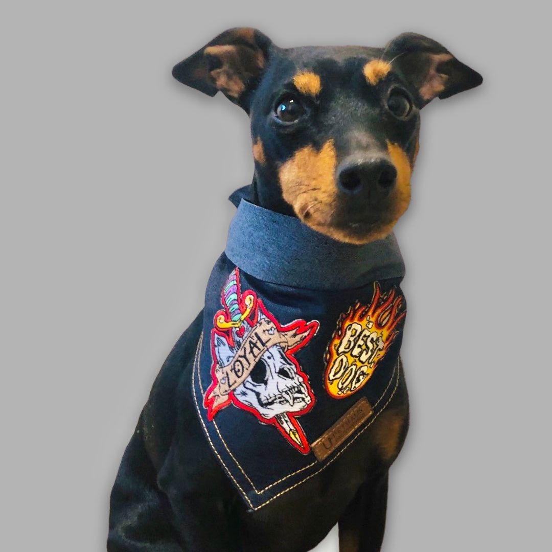 denim dog bandanas with dog patches, gift for dog lover by Pethaus 