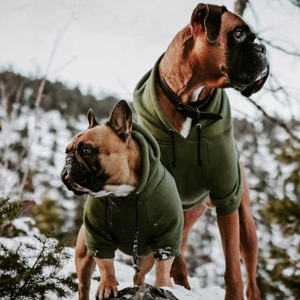 Green dog hoodie by Pethaus Australia