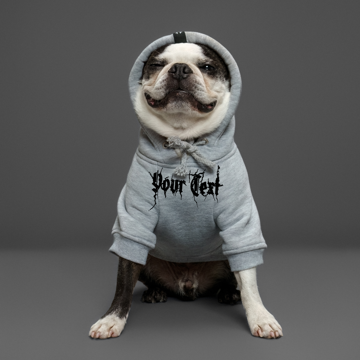 Personalised dog hoodie with custom text, made in Australia. Colours grey and black