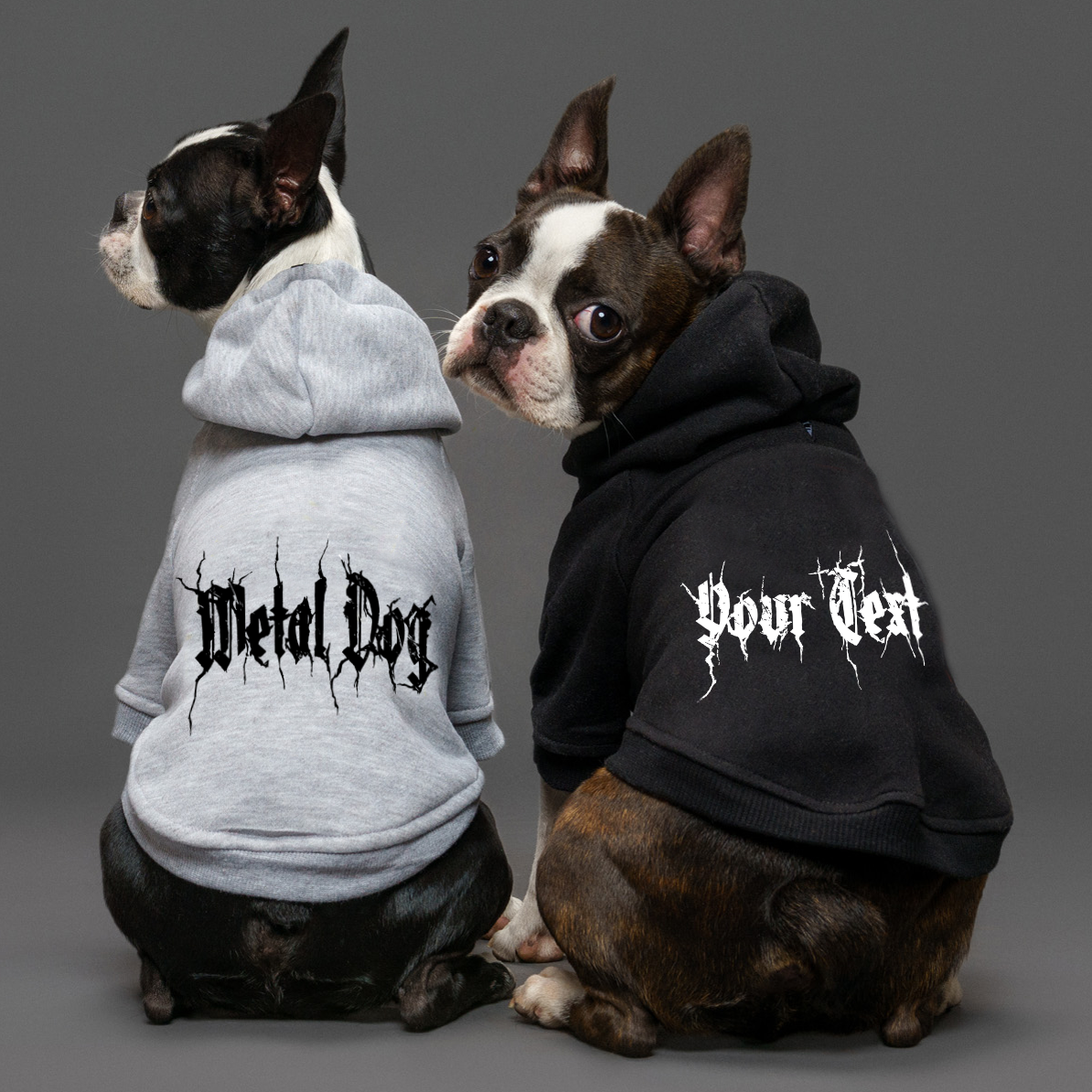 Personalised dog hoodie with black metal font made in Australia for large dogs and small dogs