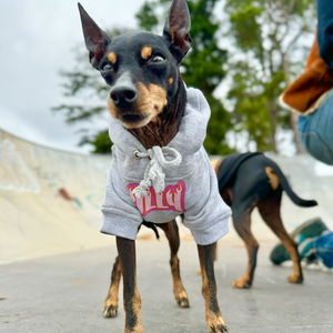 Personalised Thrasher Font Dog Hoodie 🔥