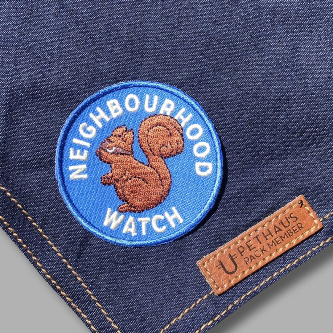 neighbourhood watch patch, scouts honour patch, squirrel patch, patch for dog, dog patch, merit badge