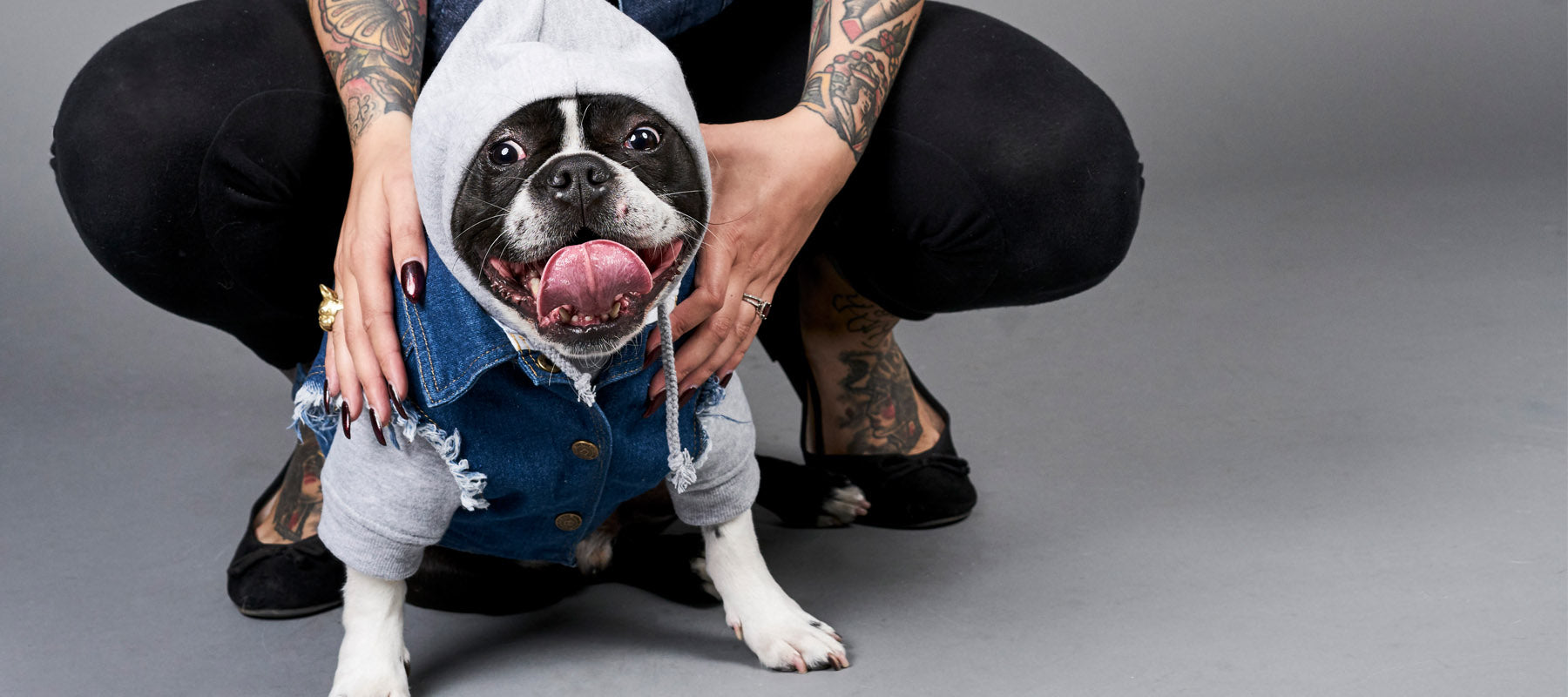 Denim Dog coat and dog hoodie by Pethaus