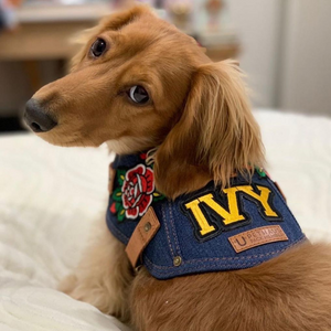 denim dog harness with dog patches