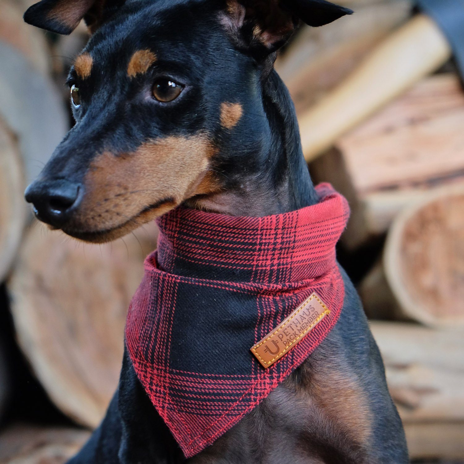 Red check dog bandana, flannel dog bandana, lumber jack dog bandana, check dog bandana, dog gift, hipster dog bandana 