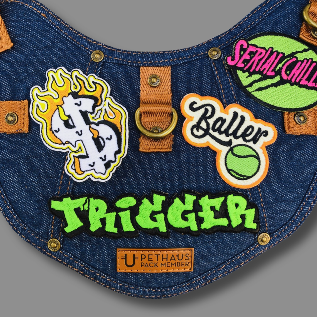 custom patch, personalised embroidered patch. Dog patch for harness