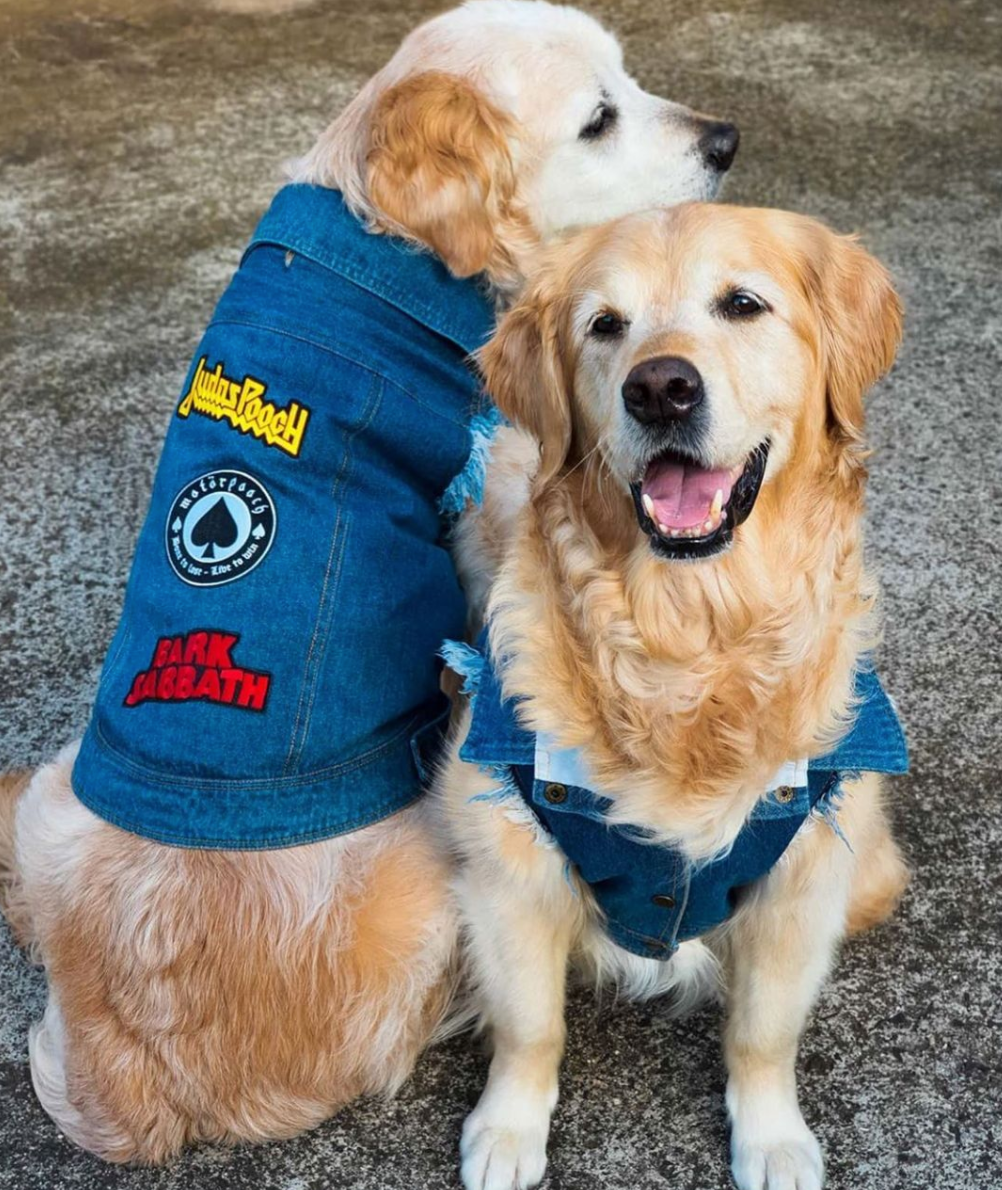 Denim dog vest with rock dog patches, dog coat Australia by Pethaus
