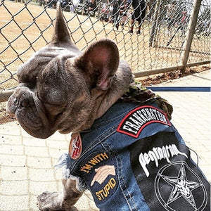 denim dog vest, battle jacket for dog, custom dog vest