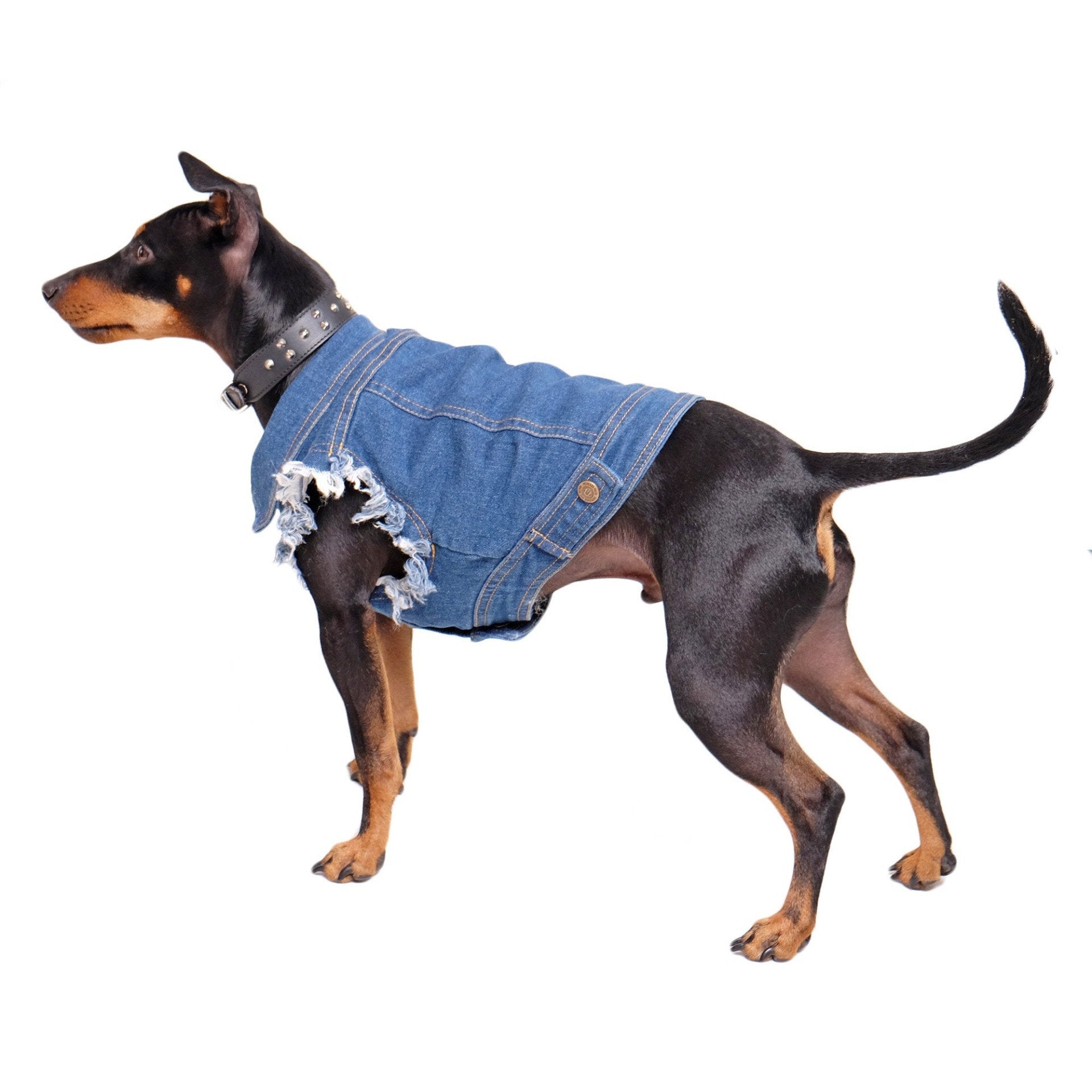 Denim dog vest , denim dog jacket, Pethaus, dog denim, Dog coat, Pethaus, Dog jacket, Australia dog coat