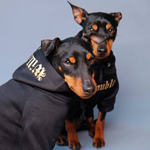 Dog hoodie, dog sweatshirt, dog coat, Personalised dog hoodie, Denim Dog Vest, Personalised dog sweatshirt, Gangsta Yapper, Pethaus