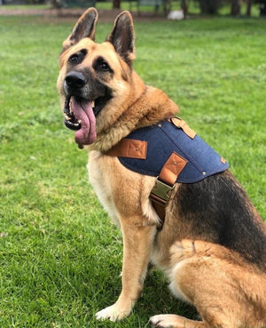 Dog harness, big dog harness, strong dog harness, battle harness, pethaus, cool dog harness, denim dog harness, harness for German Shepard