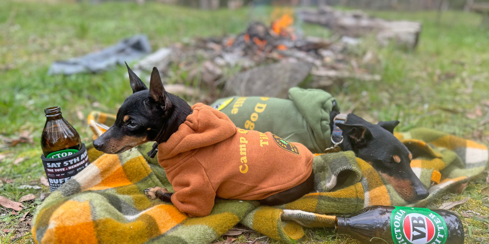 Happy Camper 🏕️🐶