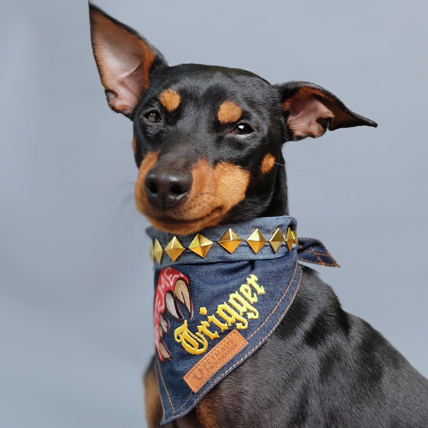 Pet Dog Bandana, Peach White Checker, Leather Name Tag, Personalized Name,  Bandanas for Dogs, Personalized Dog Bandana (Sizes: XXSmall - XXLarge)