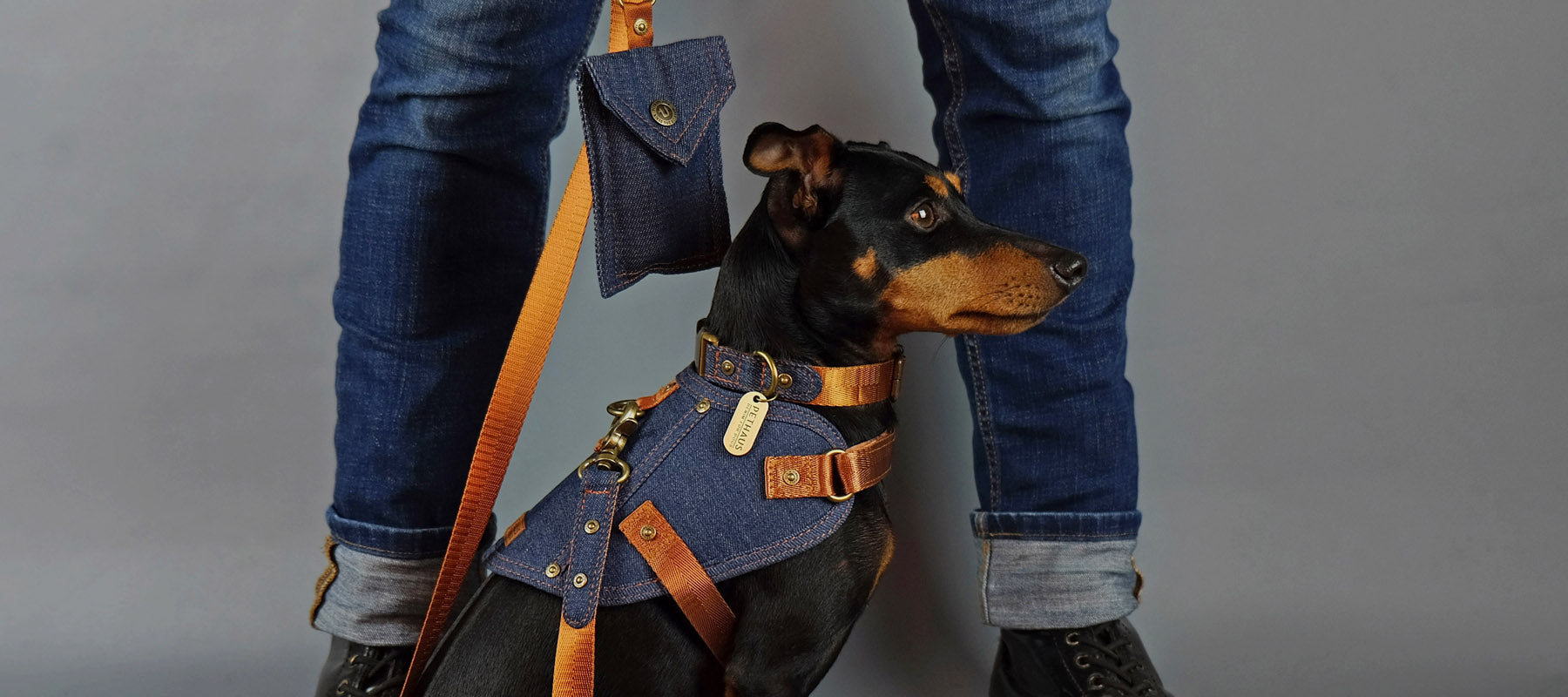 Denim dog harness, dog collar and dog leash