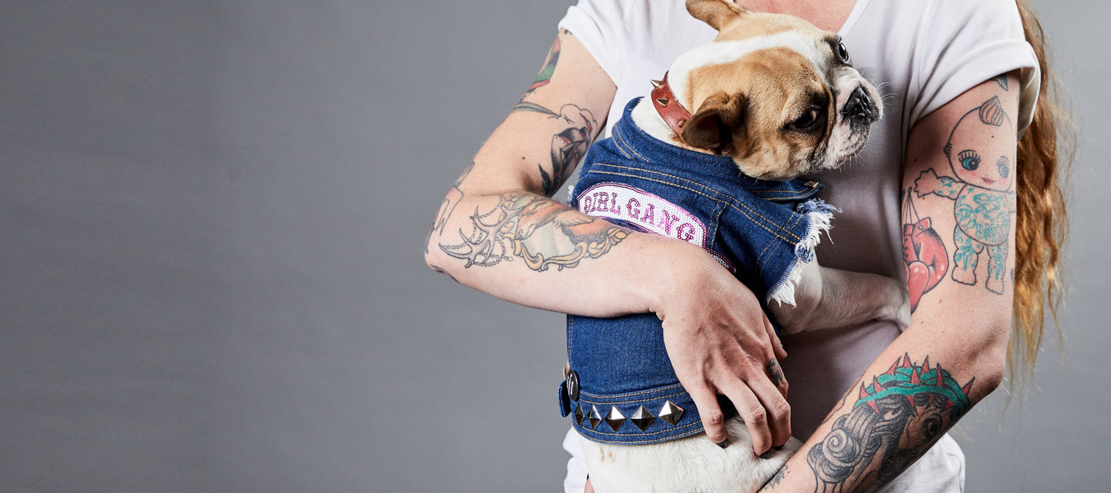 Dog clothing and accessories