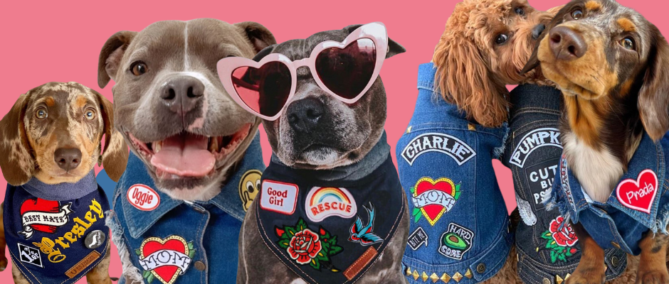 VALENTINES DAY 2026 🐶 💘