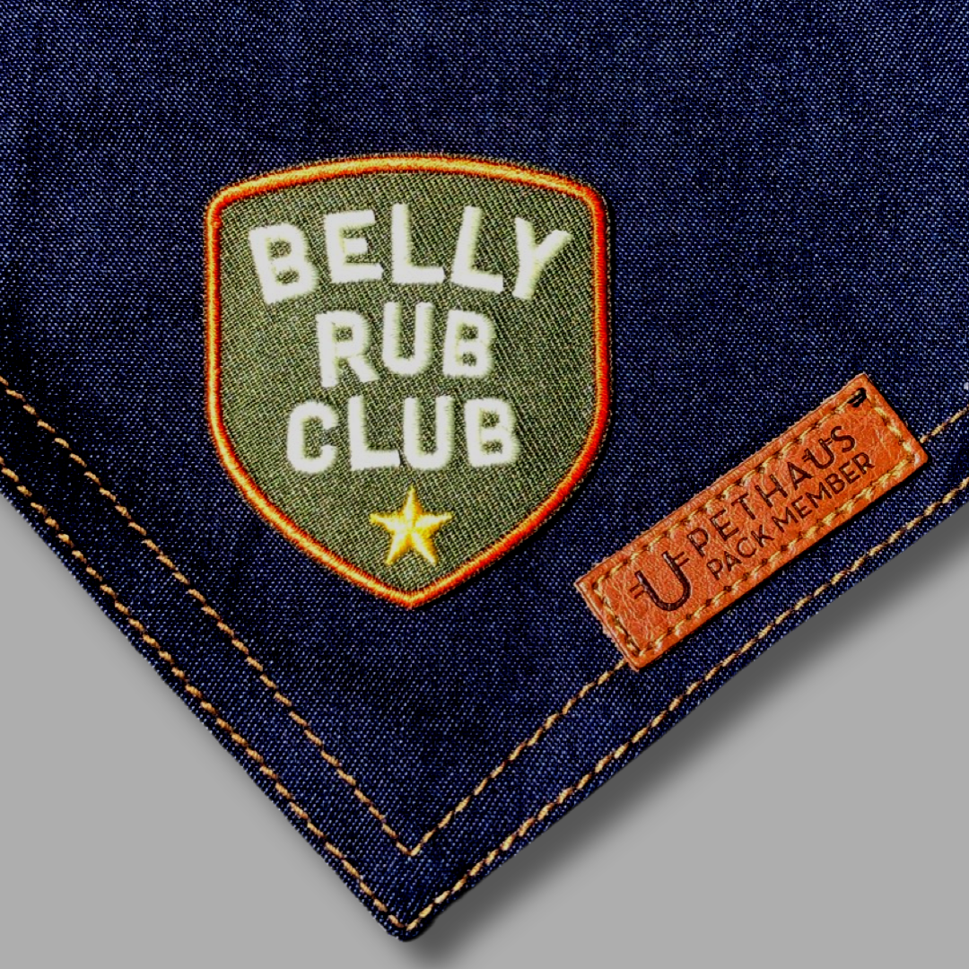 Belly rub funny dog patch for dog banana, dog gift by Scouts honour