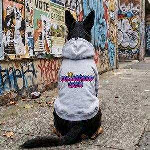 Custom text dog hoodie in greay worn by a kelpie dog in street scene featuring grafitti font. 