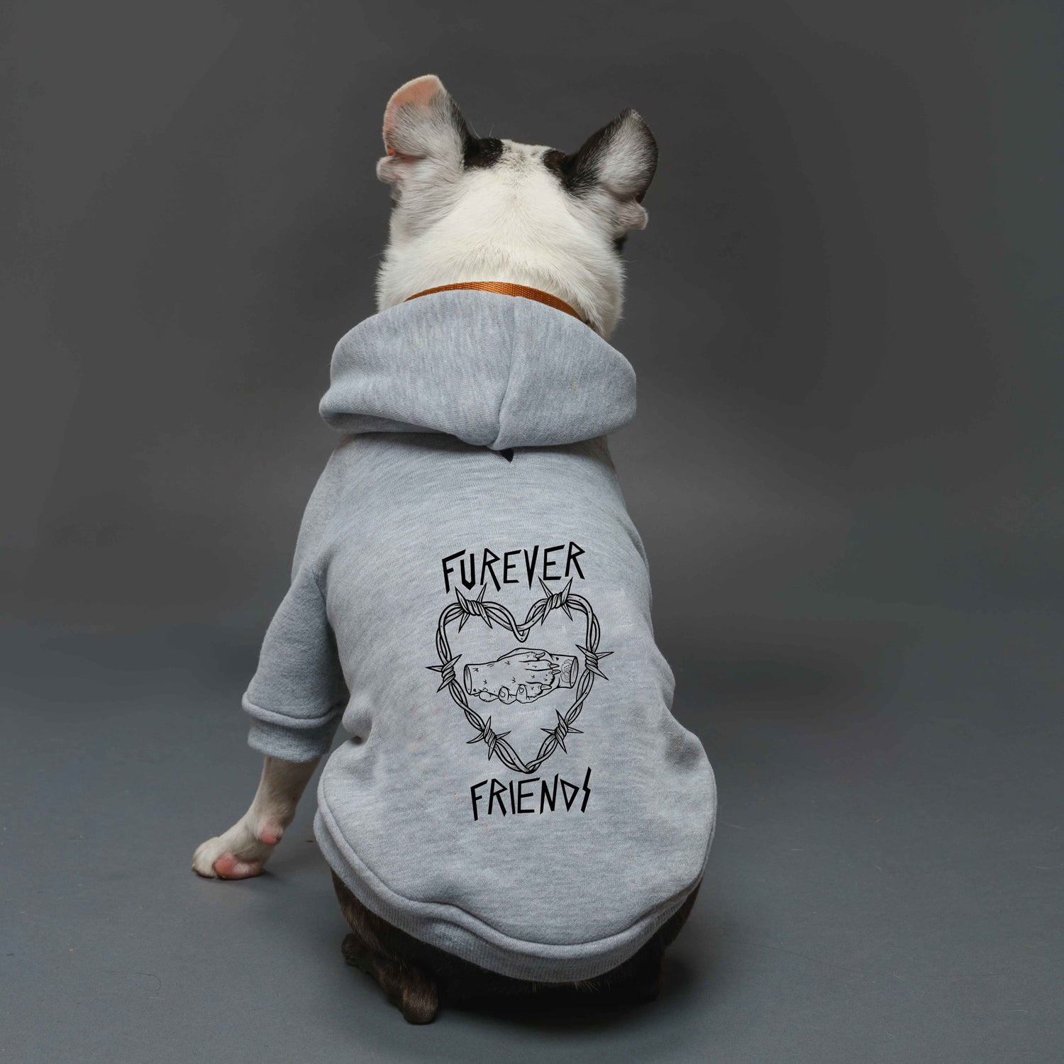 Furever Friends Dog Hoodie PetHaus