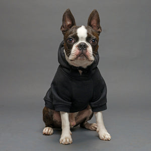dog hoodie black with boston terrier