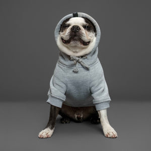 dog hoodie grey 