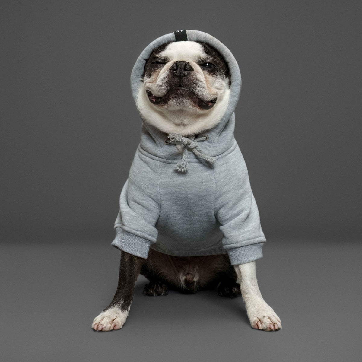 cool dog hoodie, grey made in Australia