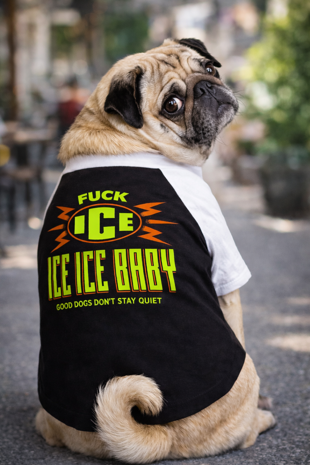 Fuck Ice dog tee for protesting dogs, pug wearing black and white tee with Anti Ice parody 