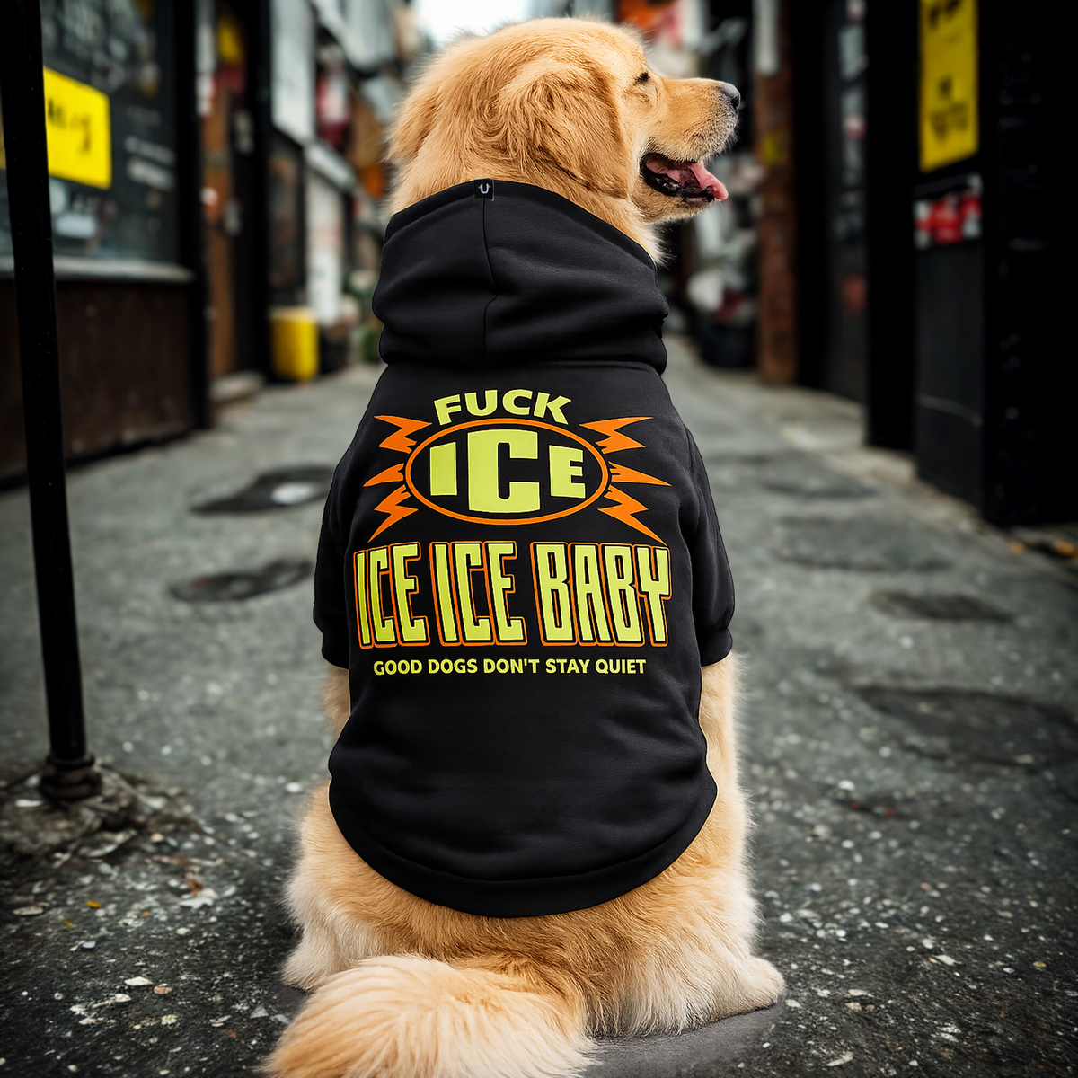 Anti ICE dog hoodie, protest hoodie for dogs in black