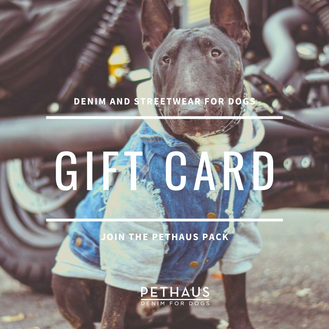 Dog gift, gift voucher for dogs, dog streetwear pethaus