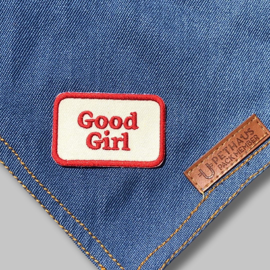 Good girl patch, cool patch, embroidered patch for dog clothing, Scouts honour