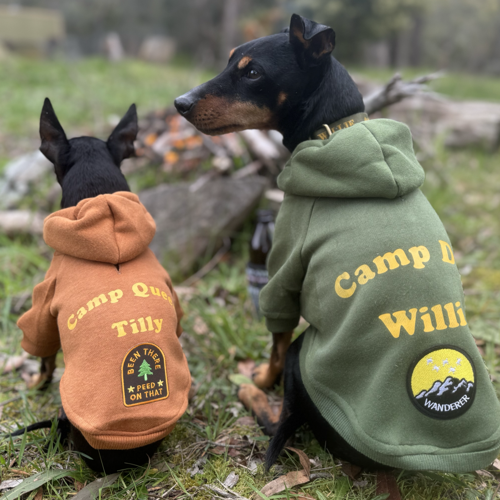 DOG HOODIES DOG SWEATSHIRTS and High Quality Dog Coats PetHaus