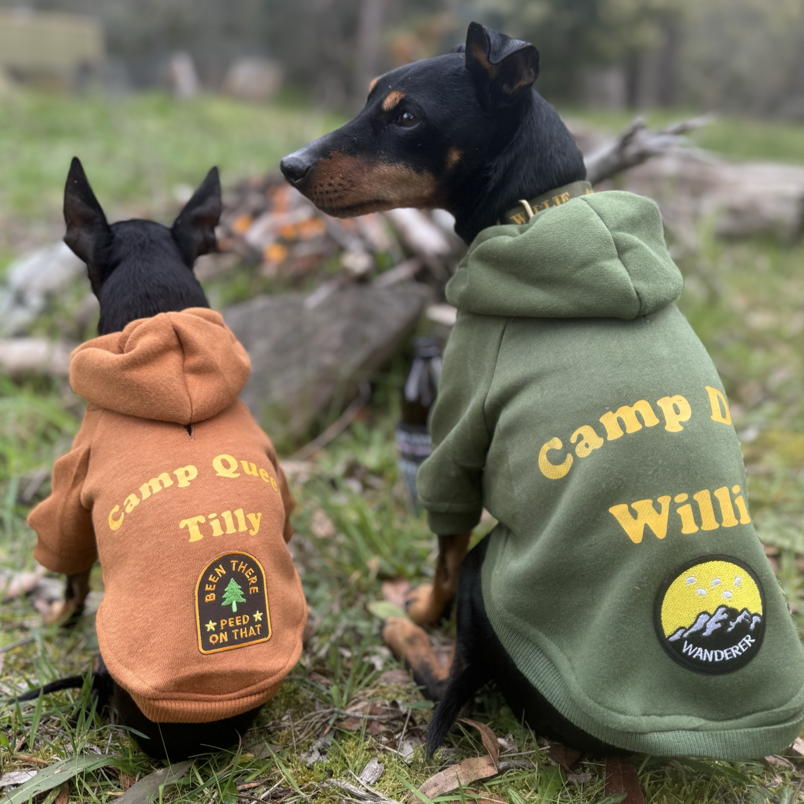 personalised dog hoodie, warm dog coat for camping with dogs name. Dog hoodie to fit big and little dogs in green and tan with dogs name.