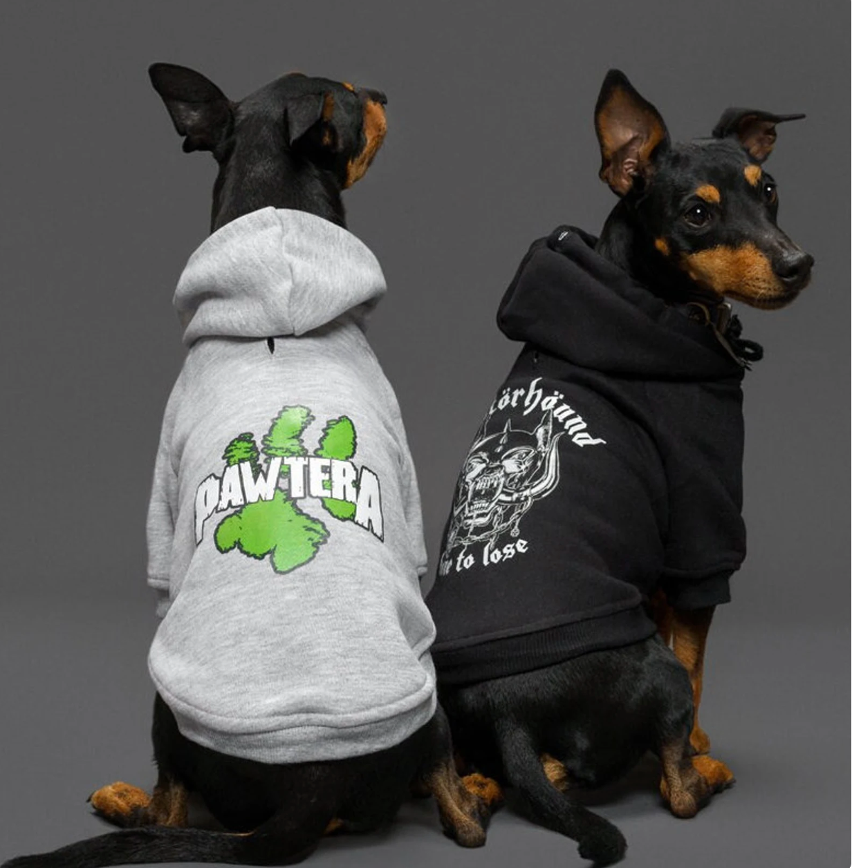 Pawtera dog hoodie, heavy metal dog hoodie, dog coat australia