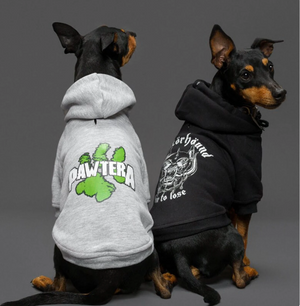 Metal dog hoodie, Pawtera for large dogs and small dogs in black or grey made in Australia