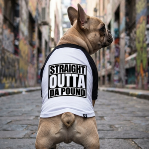 Personalised Dog Tees - Straight Outta?