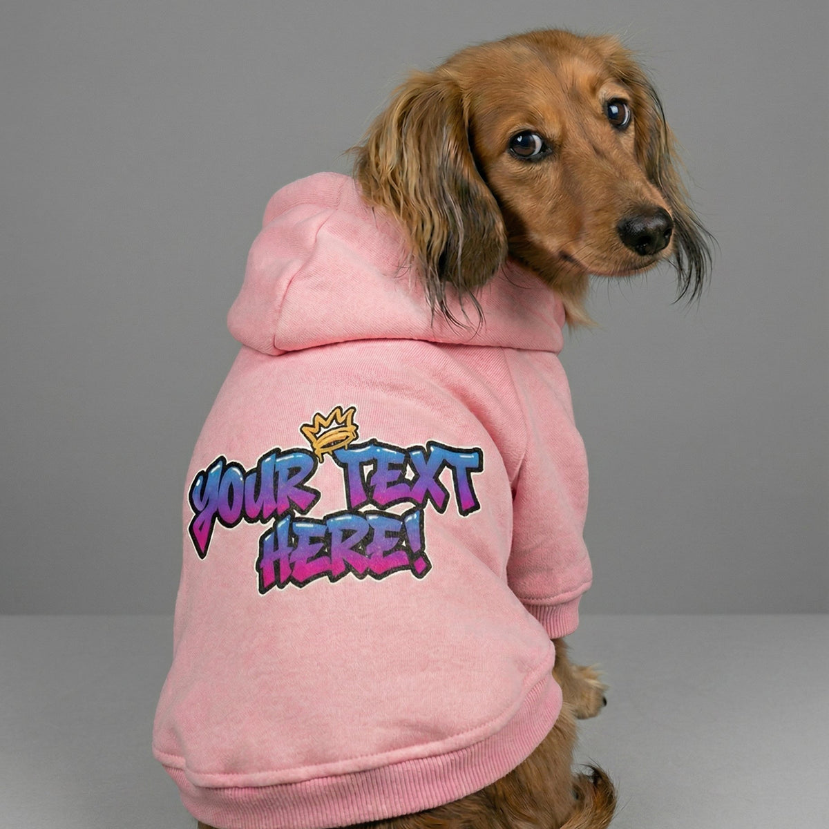 Personalised grafitti text dog hoodie in pink on a dachshund. by Pethaus