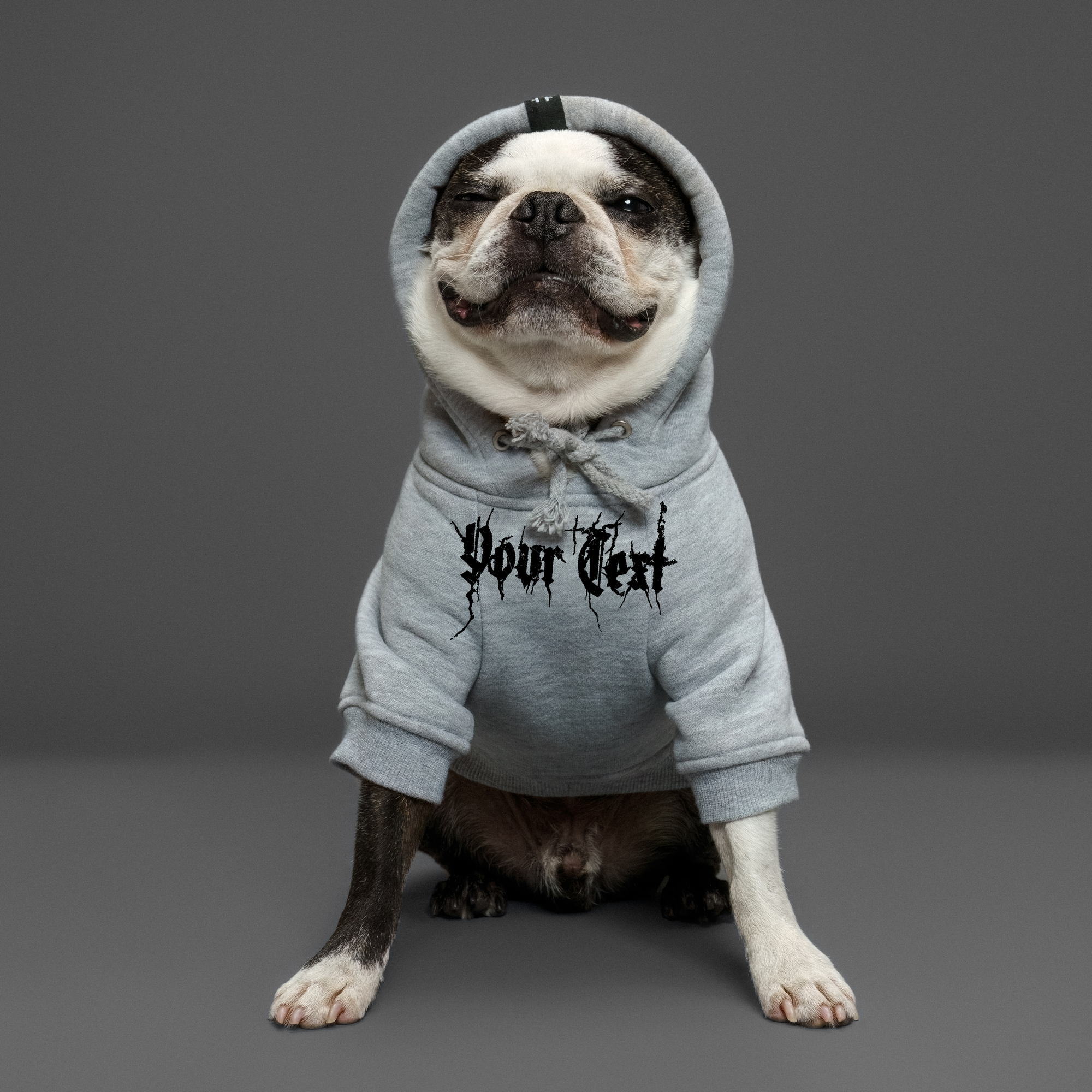 Personalised dog hoodie with black metal font  made in  Australia for large dogs and small dogs