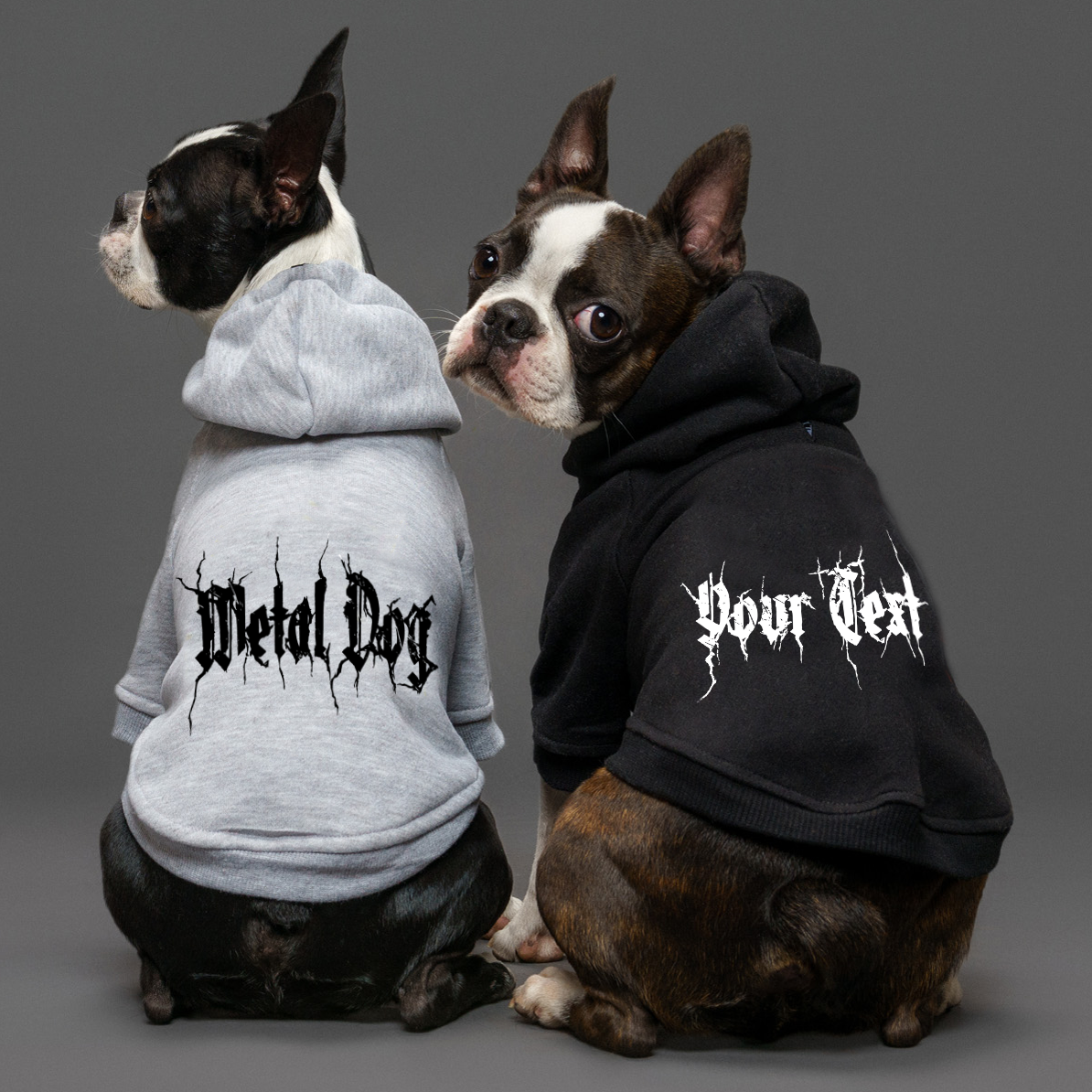 Personalised dog hoodie with black metal font  made in  Australia for large dogs and small dogs