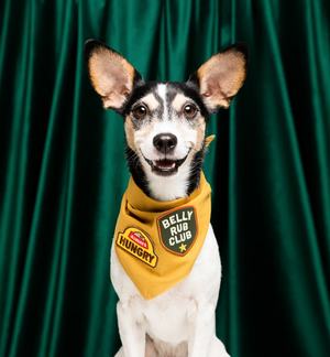 Belly rub merit patch for dogs by Scouts Honour