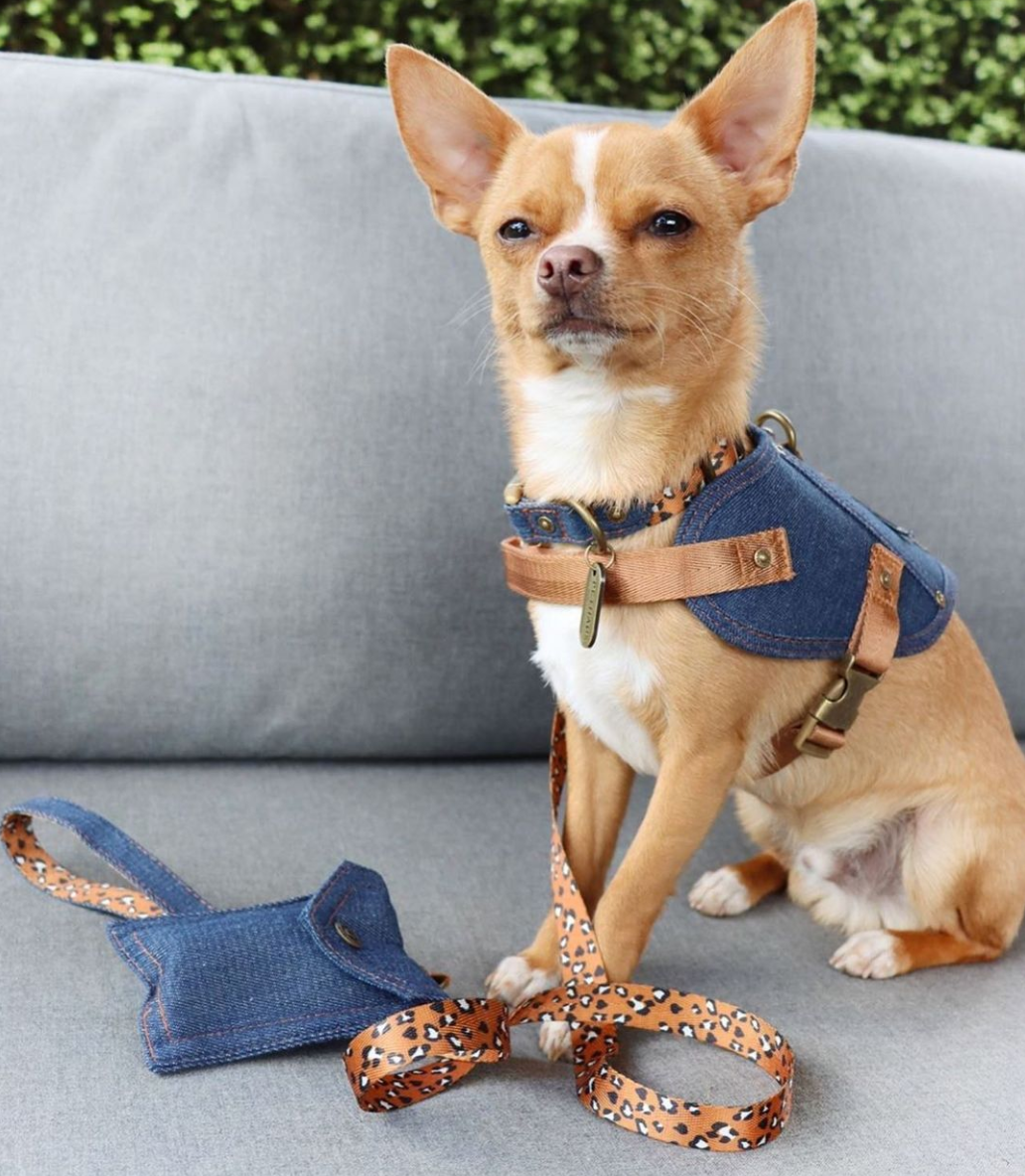 Dog harness in denim by Pethaus Australia