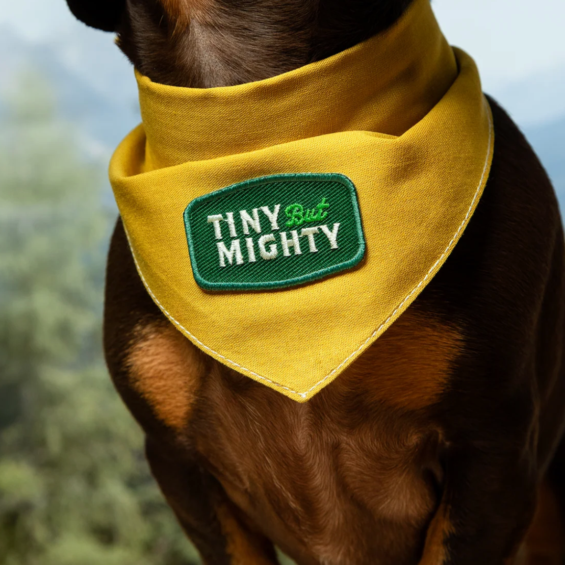 Tiny but mighty embroidered dog patch  in green. Merit dog patch for dog bandanas by Scouts Honour.  Funny dog patch. 
