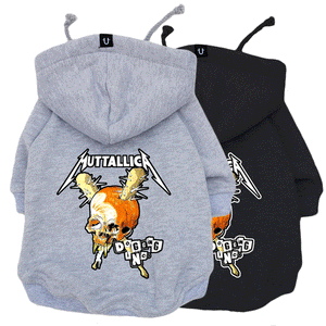 Dog band hoodie, rock dog clothing, dog hoodie for large dog made in Australia