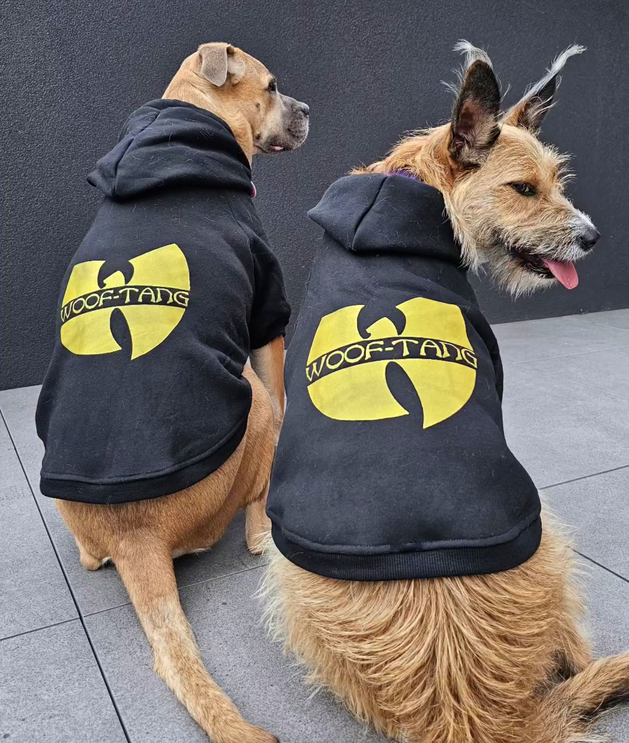 wu-tang dog hoodie, woof-tang dog band hoodie , black or grey dog hoodie for large dogs or small dogs , rapper dog hoodie