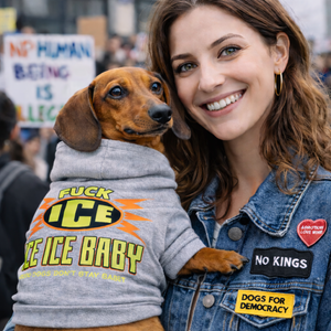 Fuck ice dog hoodie for dogs against trump and ice, grey dog hoodie on dachshund 