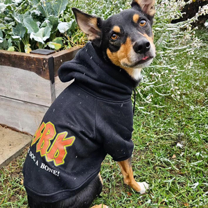 acdc dog hoodie on kelpie dog, black or grey dog hoodie with acdc print made in Australia for large dogs and small dogs