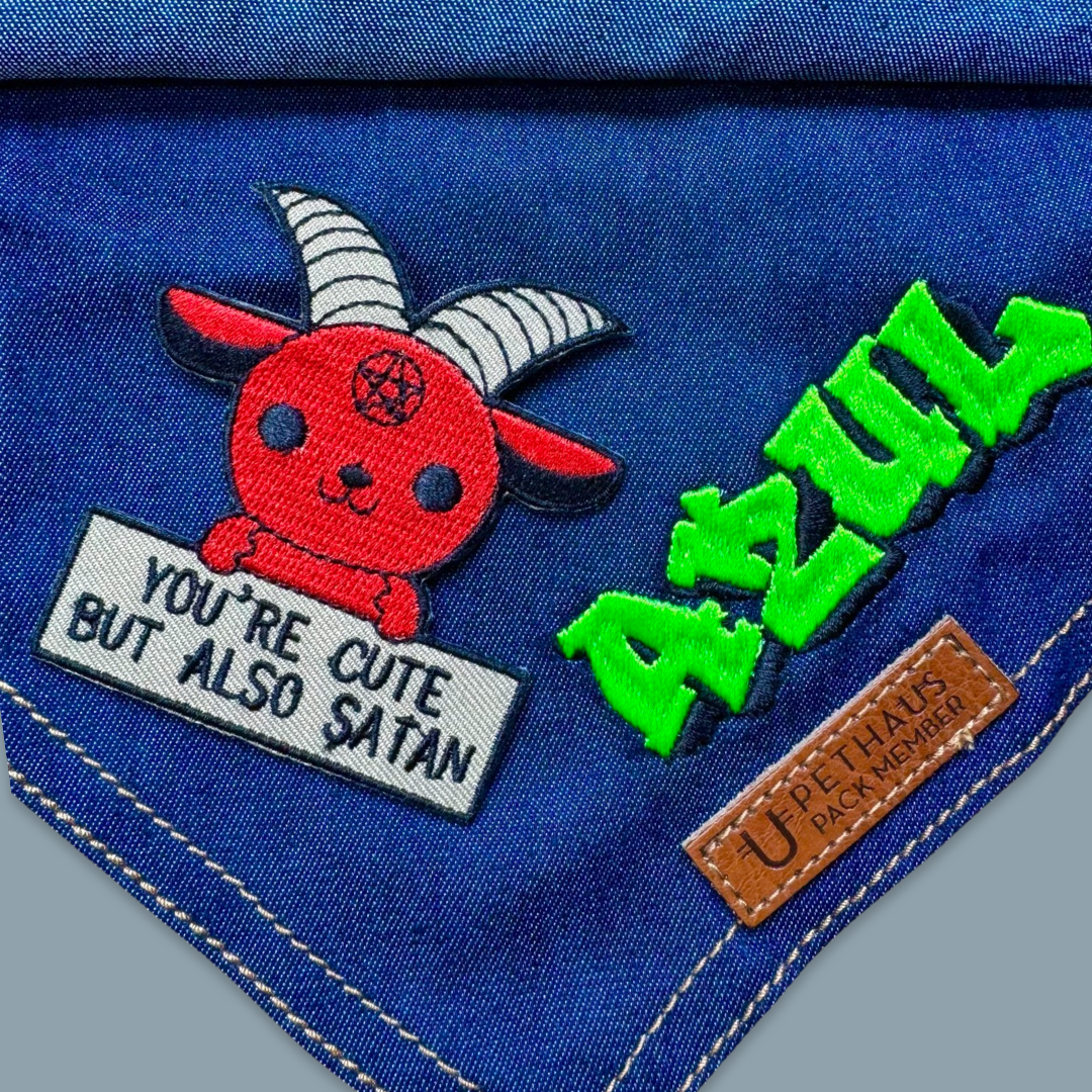 You're cute but also satan patch, devil patch, satan patch, funny dog patch. 