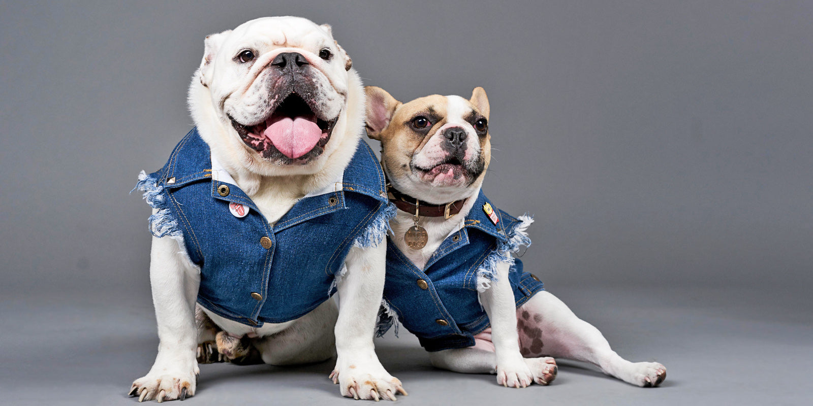 Pethaus Denim Dog vests