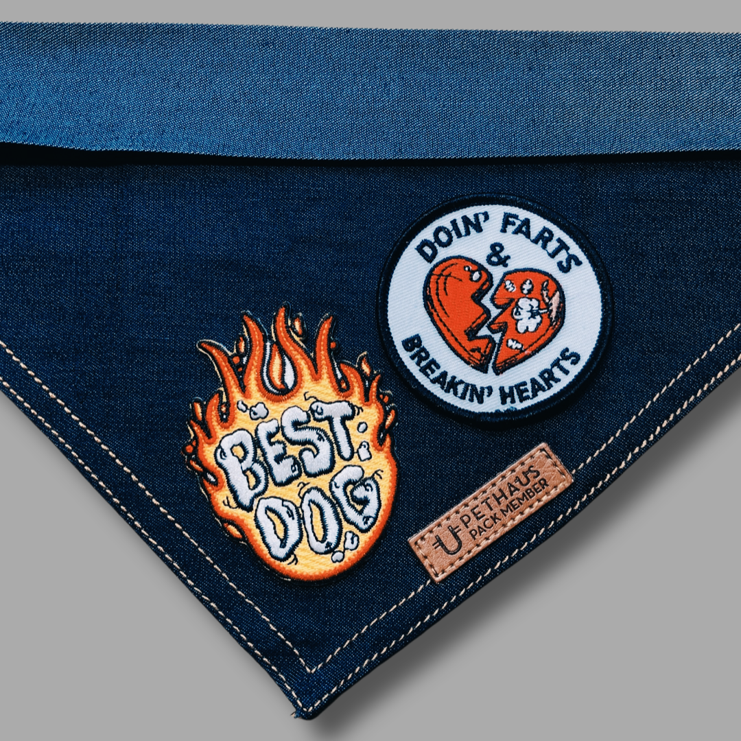 denim dog bandanas with dog patches, gift for dog lover by Pethaus 