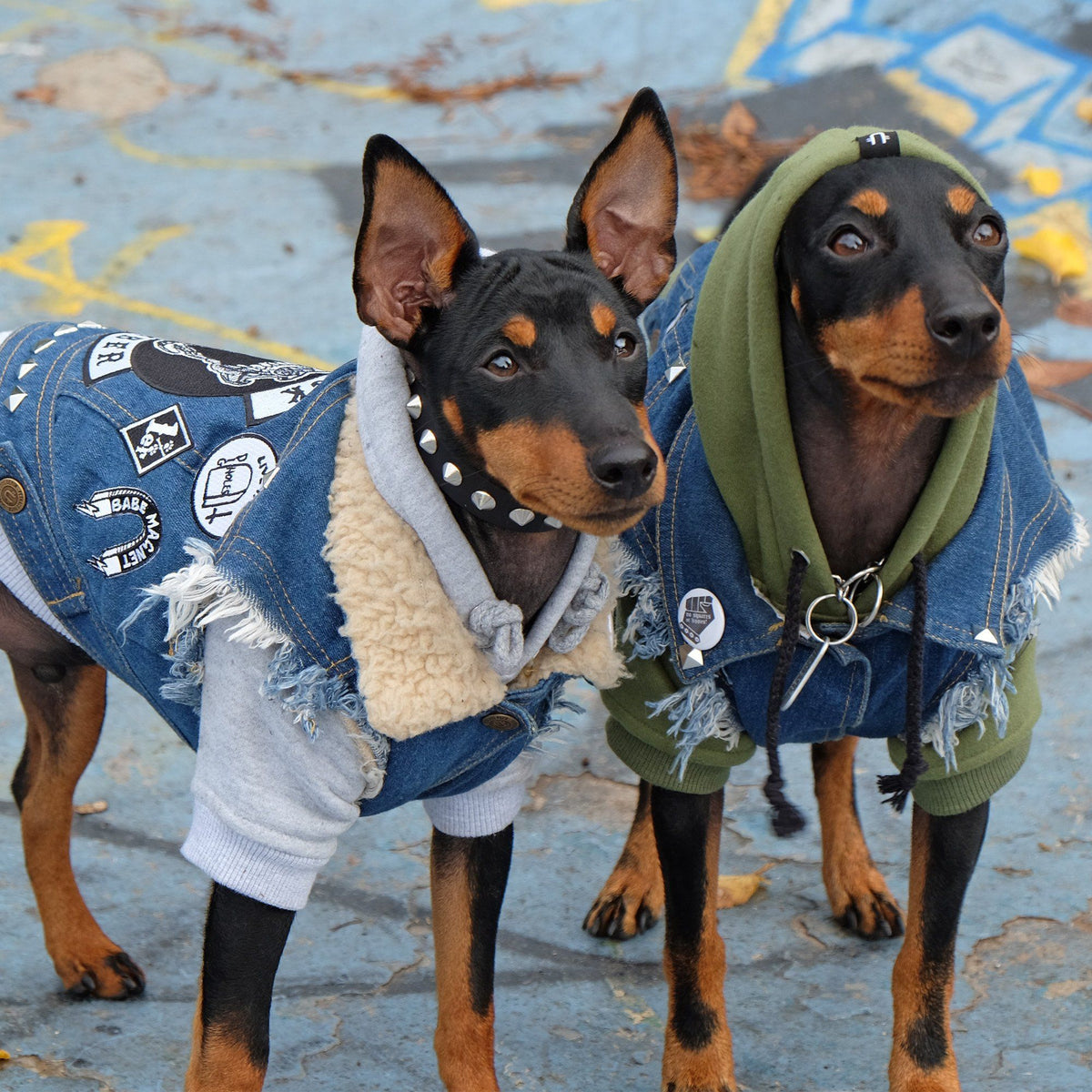 heavy metal dog jacket by pethaus, grey dog hoodie by pethaus, grey dog hoodie, dog sweatshirt, large dog hoodie, australian dog hoodie, Pethaus